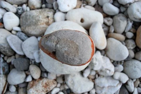 Smooth, dry river pebbles in the stream bed Stock Photos