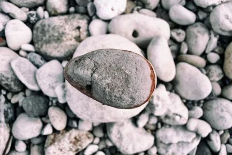 Smooth, dry river pebbles in the stream bed Stock Photos