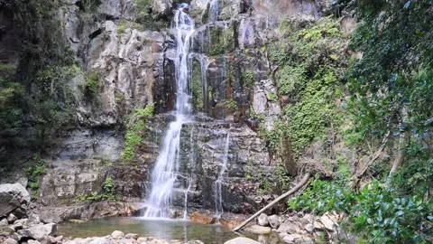 Smooth falling water from cliffs of rocks in Minnamurra national park as 4k. Stock Footage 139963325
