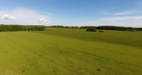Smooth field summer day Stock Footage 101663392
