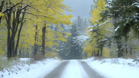 Smooth first-person drive down a snow-covered country road Stock Footage 317404519