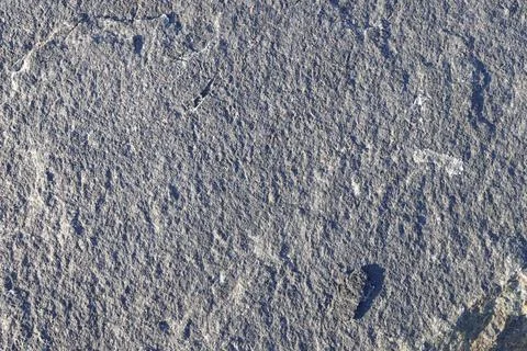 Smooth flat gray stone texture material macro closeup. Stock Photos