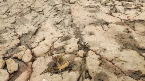 Smooth flat rocks formed from flowing sea water low tide scene stock footage Stock Footage 247564609