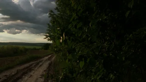 Smooth flight of the camera in nature near the forest on a summer evening Stock Footage 132236690