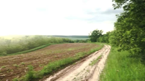 Smooth flight of the camera in nature near the forest on a summer evening Stock Footage 132237464