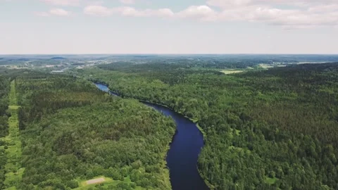 Smooth flight of the drone over a dense, green forest and a winding small river Vidéo 161824560