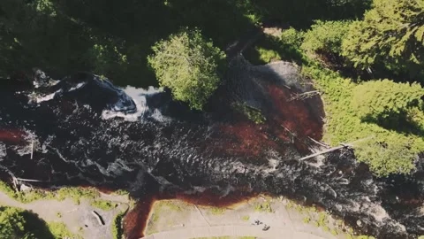 Smooth flight on a drone to the side over a small brown river, green, tall trees Vidéo 161824484