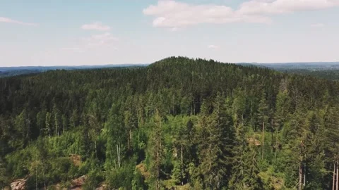 Smooth flight forward on a drone over a mountain on which green trees grow Vidéo 161824506