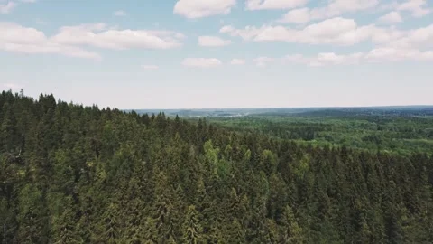 Smooth flight forward on a drone over a mountain on which green trees grow Vidéo 161824513