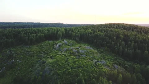 Smooth flight forward on a drone towards a green forest and a rocky mountain Vidéo 161434282
