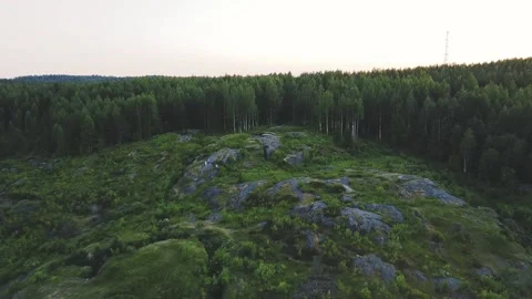 Smooth flight forward on a drone towards a green forest and a rocky mountain Vidéo 161434377