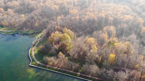 Smooth flight over the autumn forest Stock Footage 256232505