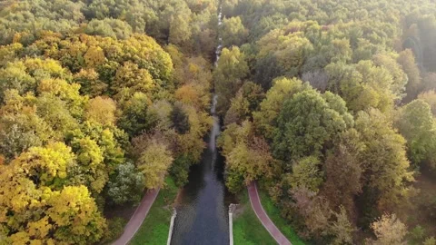 Smooth flight over the autumn forest Stock Footage 256813873