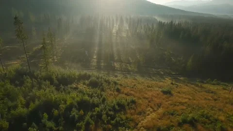 Smooth flight over an autumn mountain landscape at sunrise Video stock 220738241