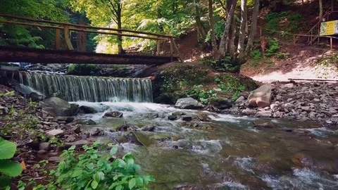A smooth flight over a beautiful mountain river surrounded by forests of spruce Stock Footage 80166013