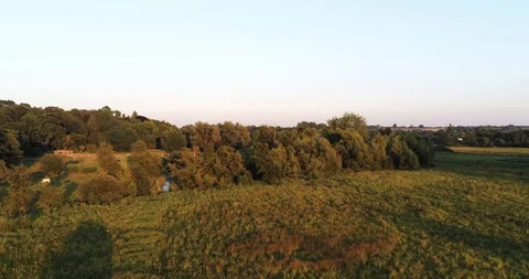 Smooth Flight Over British Marsh Land in Golden Dusk Light Vídeo Stock 94716826