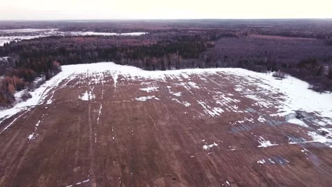 Smooth flight over the field, around the forest Vidéo 152832262