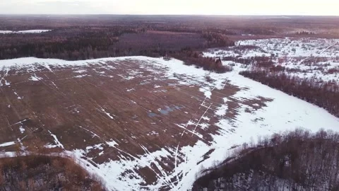 Smooth flight over the field, around the forest Vidéo 152832289