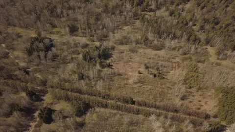 A smooth flight over a green forest that is within the city Stock Footage 91041275