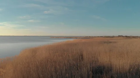 Smooth flight over marsh 4k Stock Footage 87527266