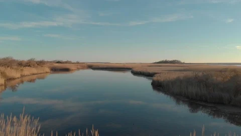 Smooth flight over marsh 4k Stock Footage 87527354