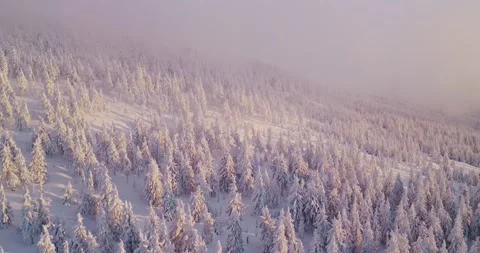 Smooth flight over snow covered forests, rolling hills, and low clouds. Stock Footage 326132970