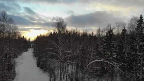 Smooth flight over a snowy forest Stock Footage 256814086