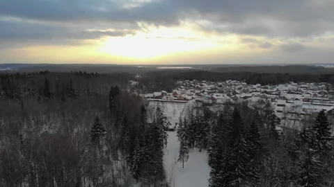 Smooth flight over a snowy forest Stock Footage 256814102