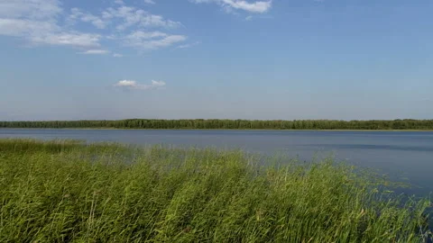 Smooth flight over the surface of the lake Video stock 92998792