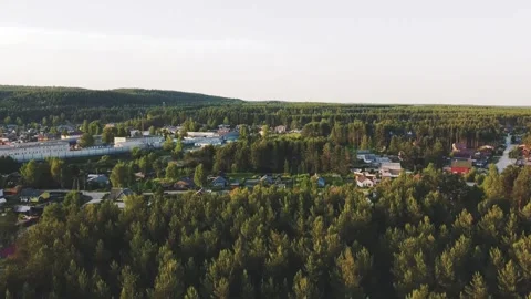 Smooth flight to the side, fir trees, the sun plays between the trees, park Vidéo 161435090