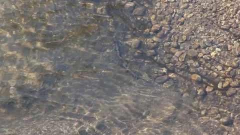 Smooth flow of transparent water in the river, natural background Stock Footage 84926166
