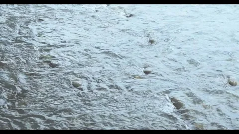 Smooth flow of water in mountain river close-up 스톡 동영상 271070288
