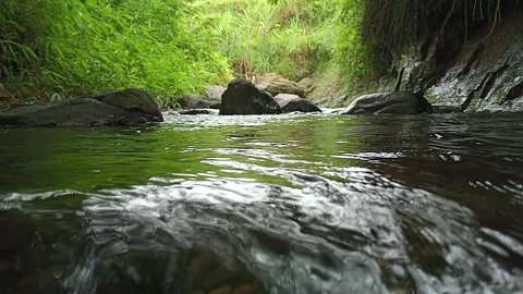 Smooth Flowing River Water in Lush Green Environment Stock Footage 330337192