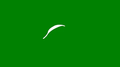 A smooth flowing transition on green screen perfect for serene video Stock Footage 301387049
