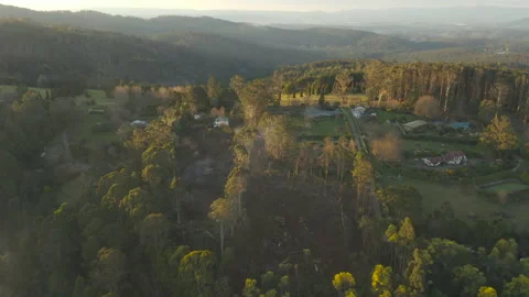 Smooth fly over natural region with homes on hillside during dusk. Stock Footage 161209486