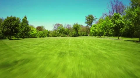Smooth Flying Over Green Grass and Forest Stock Footage 233656907