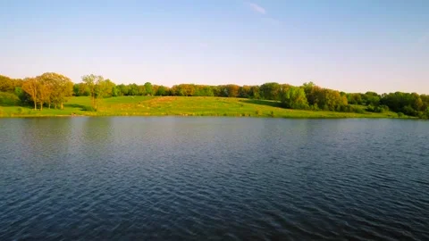 Smooth Flying Over Green Grass and Forest Stock Footage 233680986