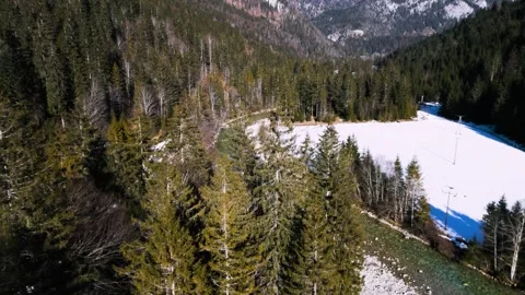 A smooth flyover of an alpine river in a forest in a forest 動画素材 301542318
