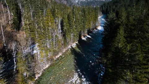 A smooth flyover of an alpine river in a forest Stock Footage 301542345