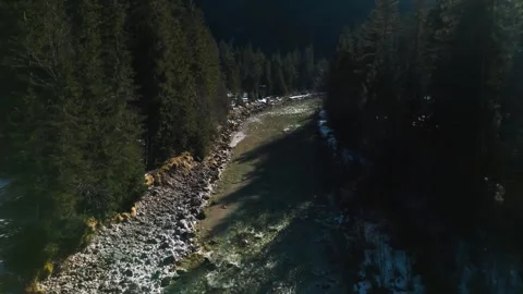 A smooth flyover of an alpine river in a forest 動画素材 301542374