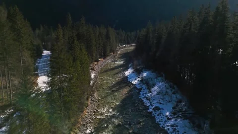 A smooth flyover of an alpine river in a forest Stock Footage 301542382