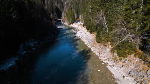 A smooth flyover of an alpine river in a forest 動画素材 301542385