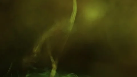 Smooth focus transition, natural texture of dry green leaf, horror atmosphere Stock Footage 323396432