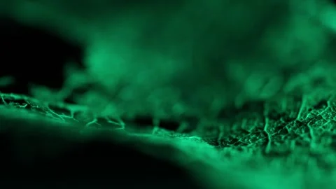 Smooth focus transition, natural texture of dry green leaf, horror atmosphere Stock Footage 323396479