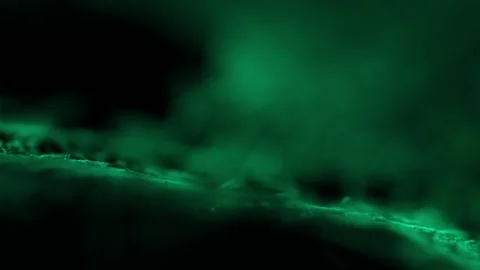 Smooth focus transition, natural texture of dry green leaf, horror atmosphere Stock Footage 323396540