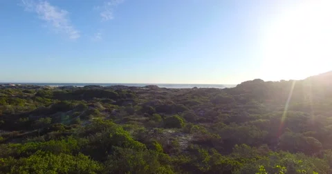 Smooth forward flight over grassy sand dunes to the beach - 4K Drone Footage Stock-Footage 65805184