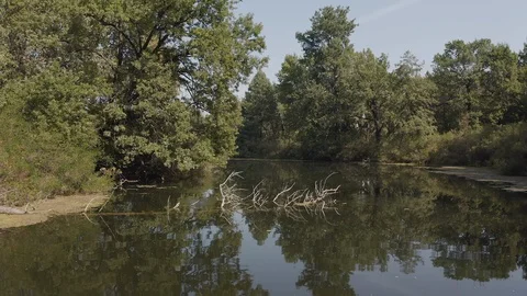 Smooth forward movement of the boat along the mysterious river channel Stock Footage 127373575