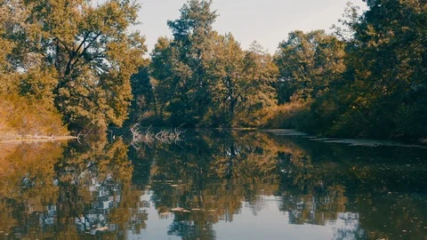 Smooth forward movement of the boat along the mysterious river channel Stock Footage 127373896