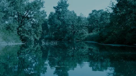 Smooth forward movement of the boat along the mysterious river channel Stock Footage 127374823