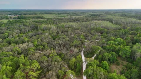 Smooth Forward-Moving Aerial Drone Flyover Of Vast... Stock Footage 331820951